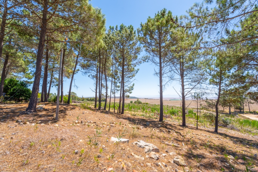 3 Bedroom Property for Sale in Napier Western Cape